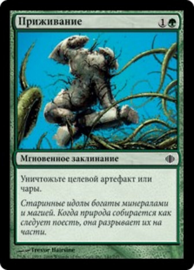 Приживание