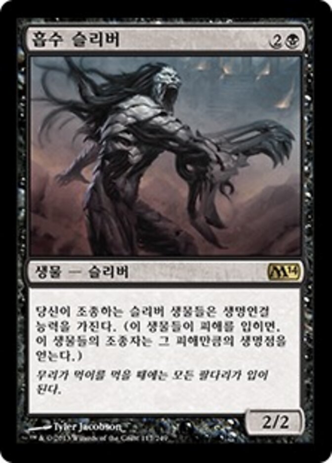 흡수 슬리버