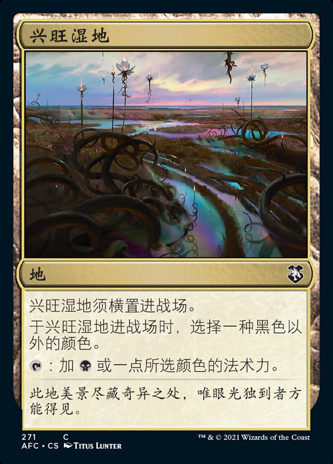 兴旺湿地
