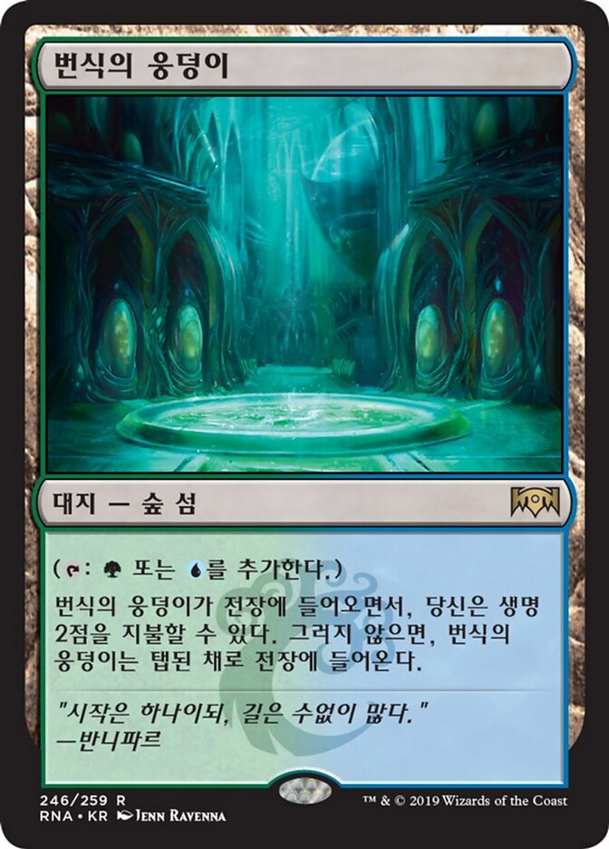 번식의 웅덩이