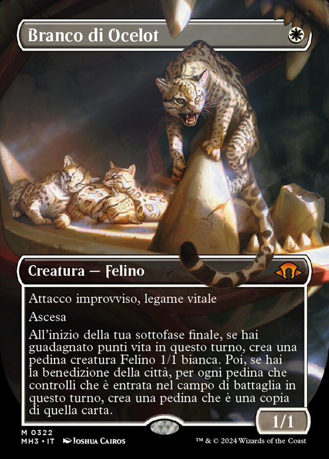Branco di Ocelot