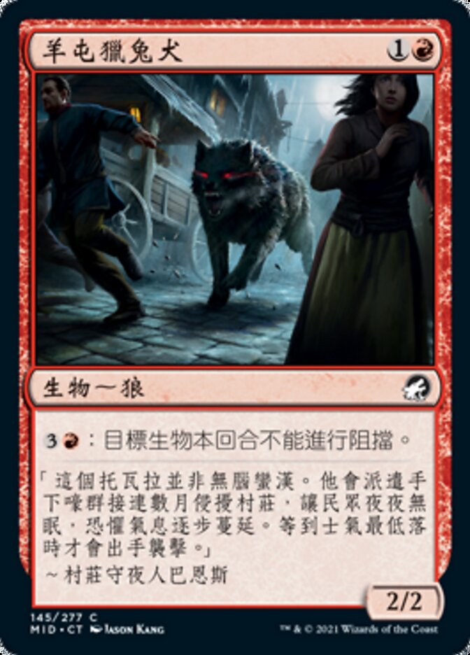 羊屯獵兔犬