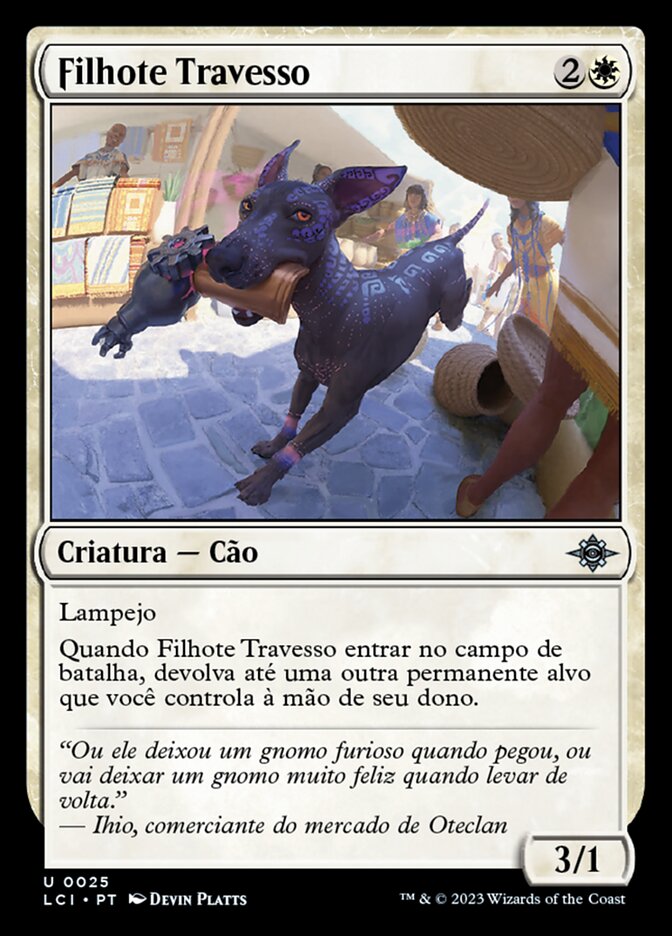 Filhote Travesso