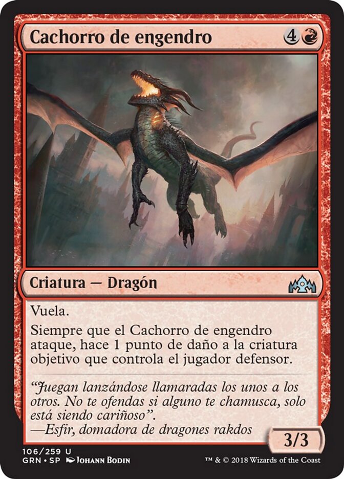 Cachorro de engendro