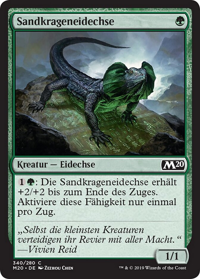 Sandkrageneidechse