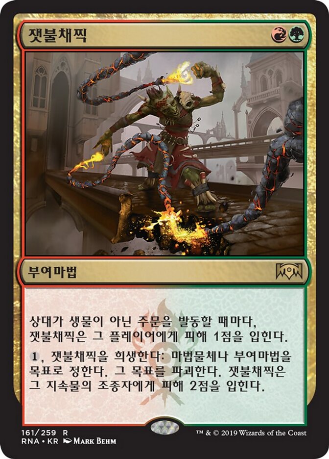 잿불채찍