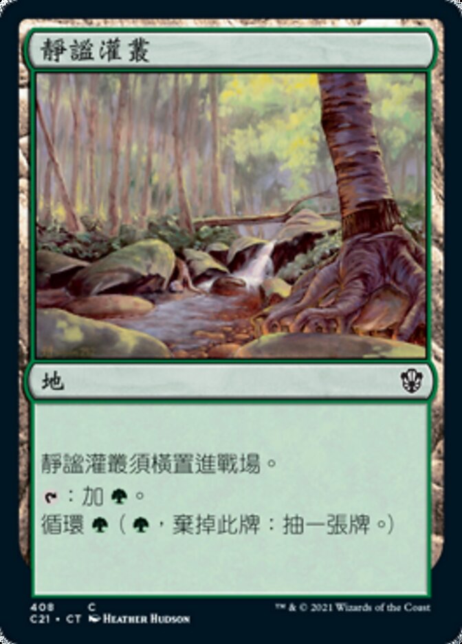 靜謐灌叢