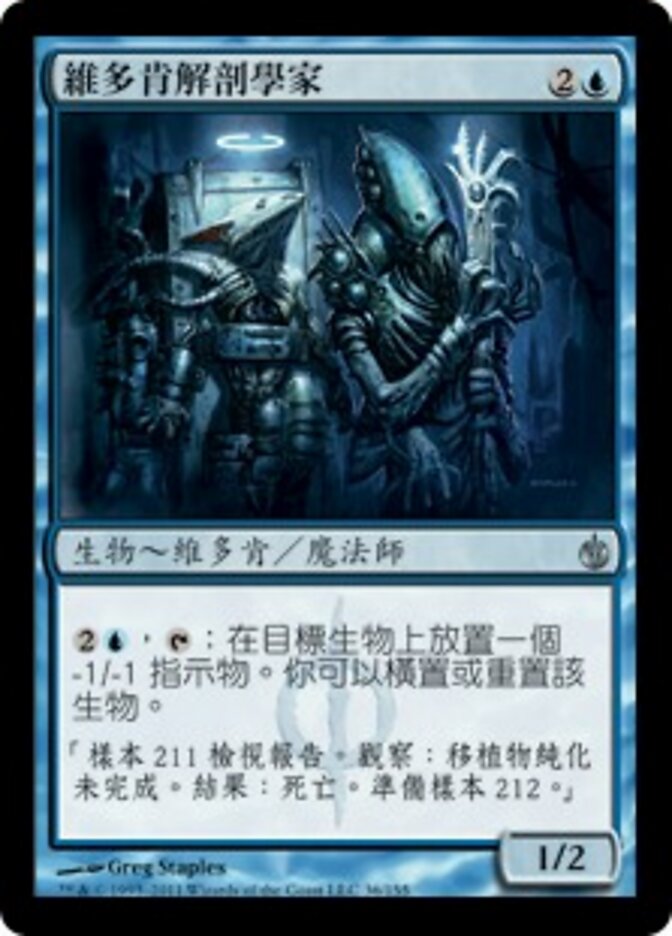維多肯解剖學家