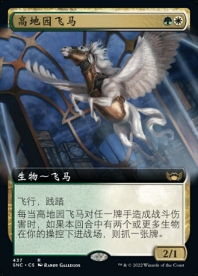 高地园飞马