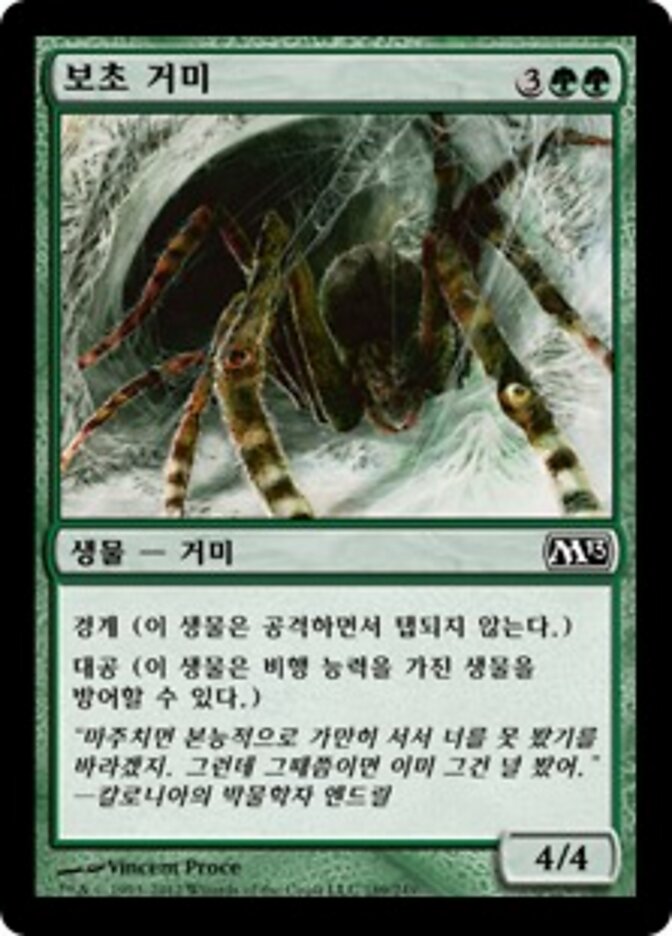 보초 거미