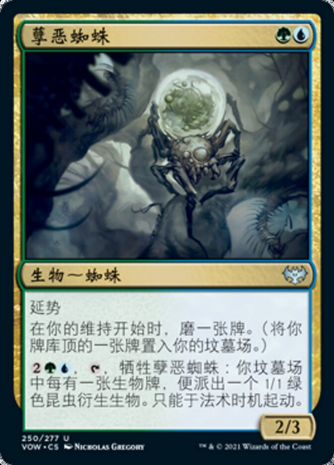 孽恶蜘蛛