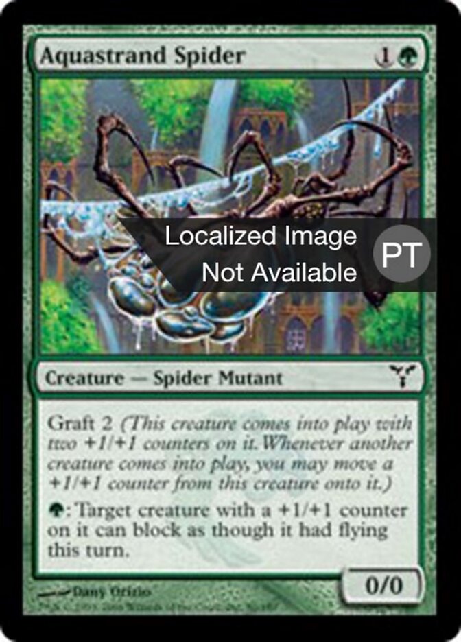 Aranha Fios D'Água