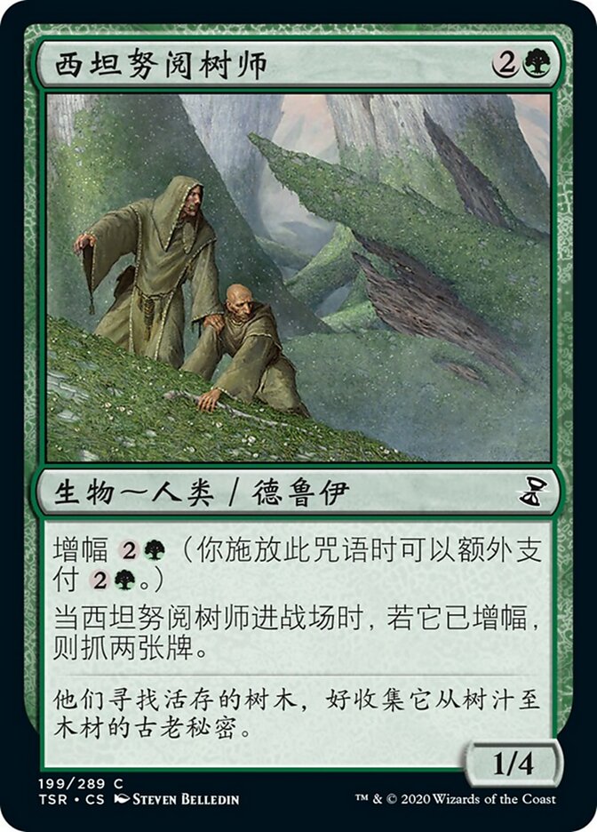 西坦努阅树师