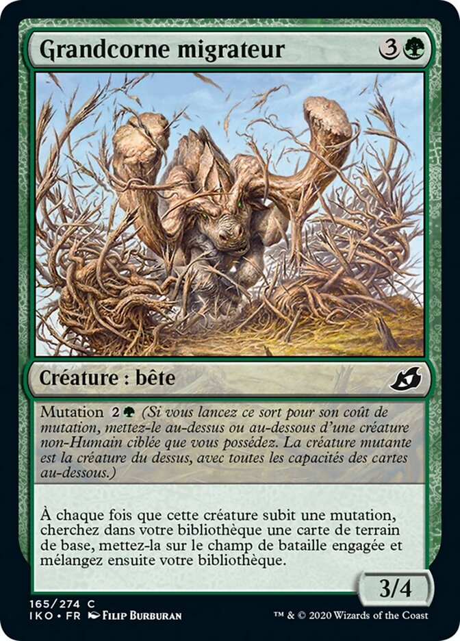 Grandcorne migrateur
