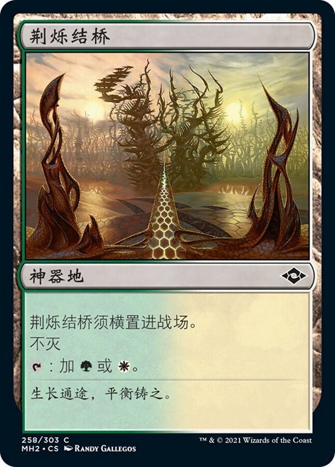 荆烁结桥