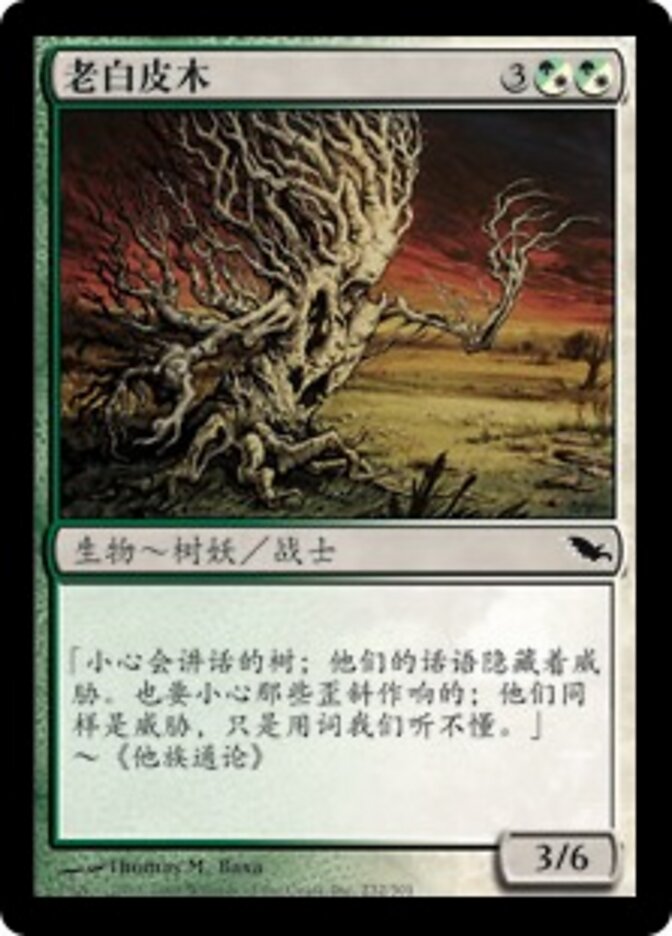 老白皮木