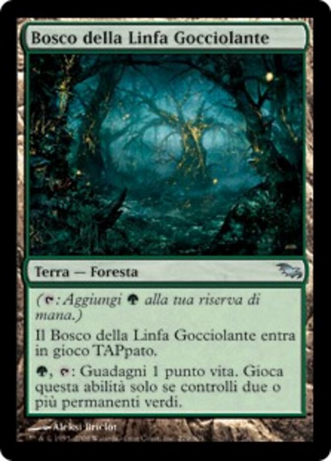 Bosco della Linfa Gocciolante