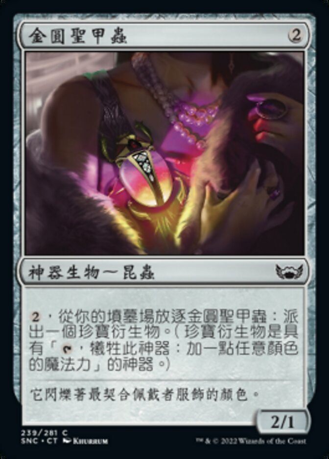 金圓聖甲蟲