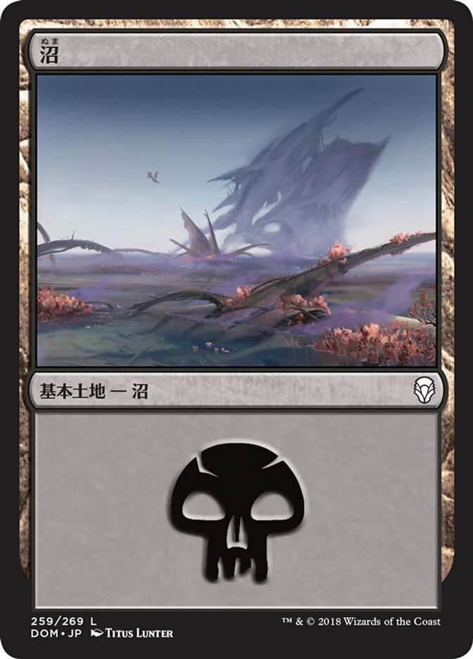 沼