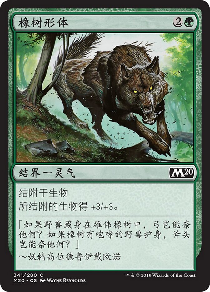 橡树形体