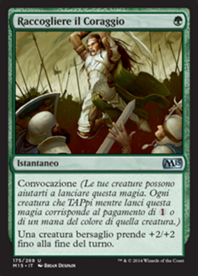 Raccogliere il Coraggio