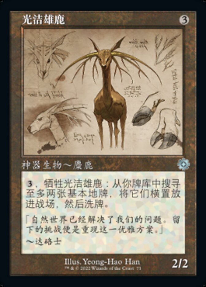 光洁雄鹿