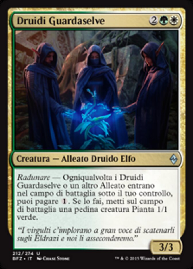 Druidi Guardaselve