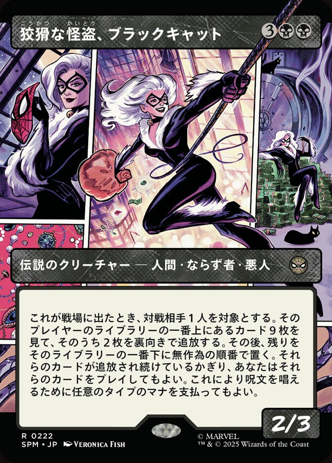 狡猾な怪盗、ブラックキャット