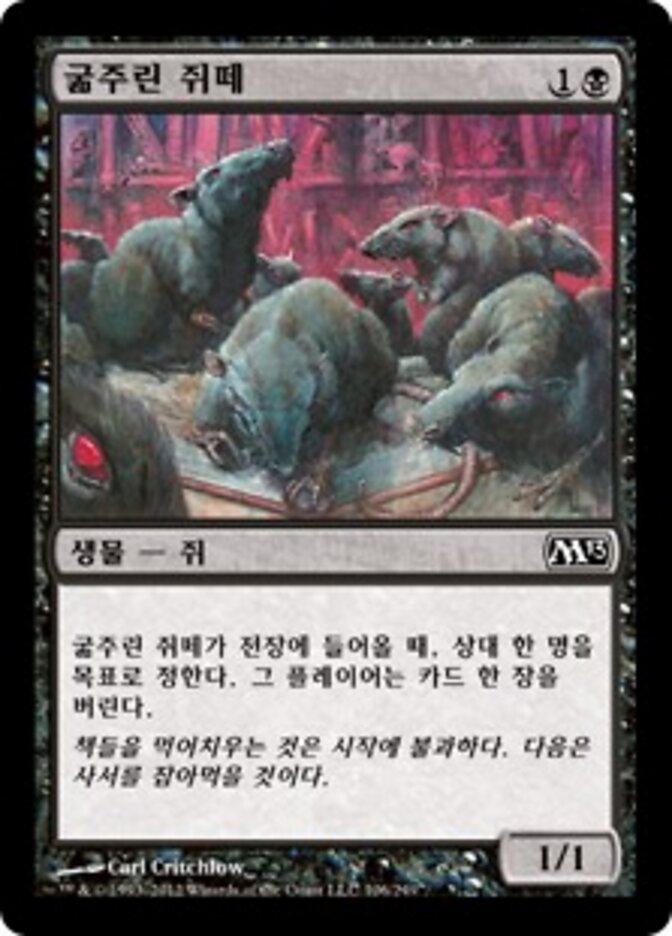 굶주린 쥐떼