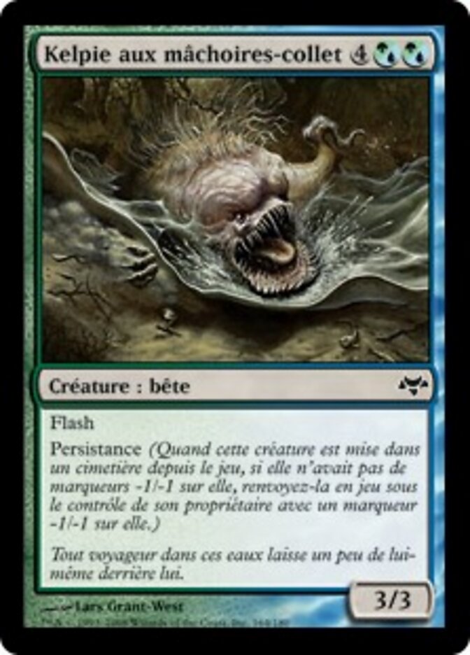 Kelpie aux mâchoires-collet
