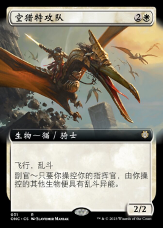 空猎特攻队
