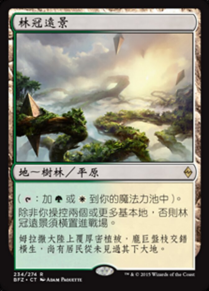 林冠遠景