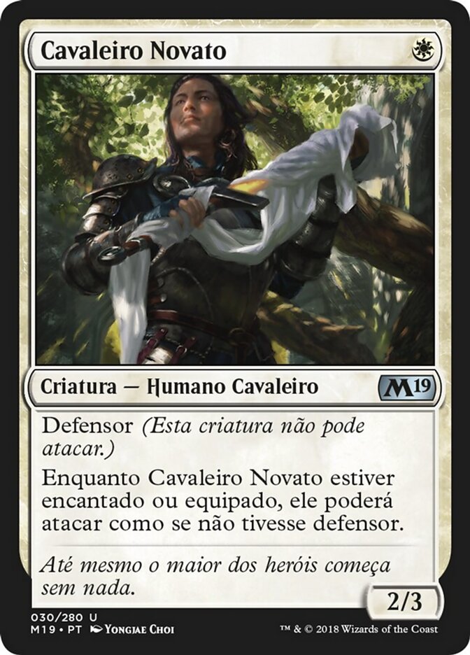 Cavaleiro Novato