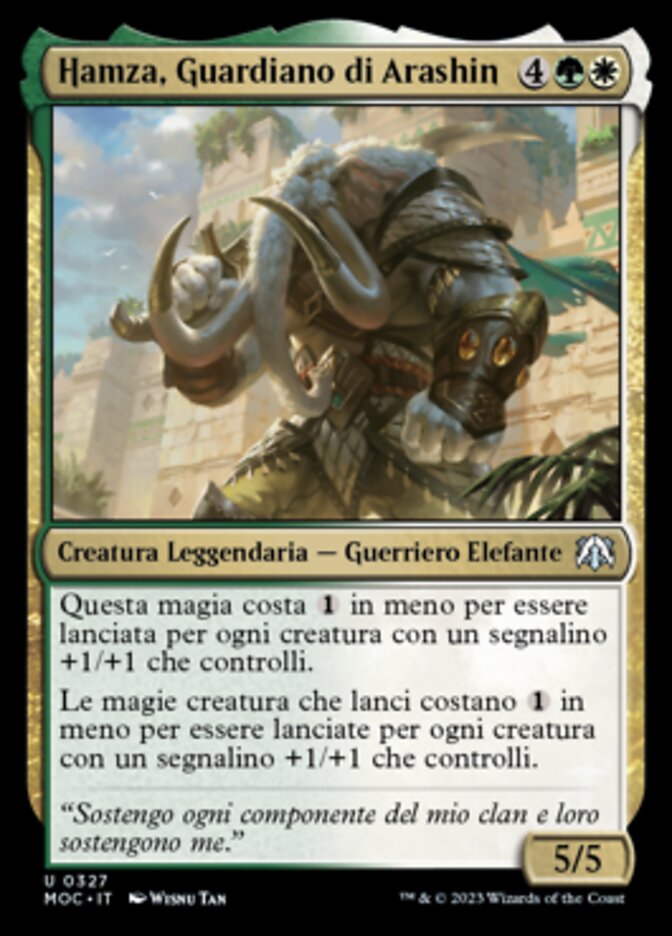 Hamza, Guardiano di Arashin