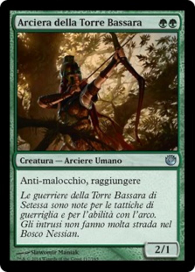 Arciera della Torre Bassara