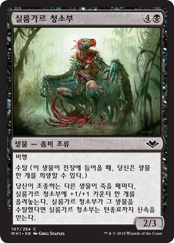 실룸가르 청소부