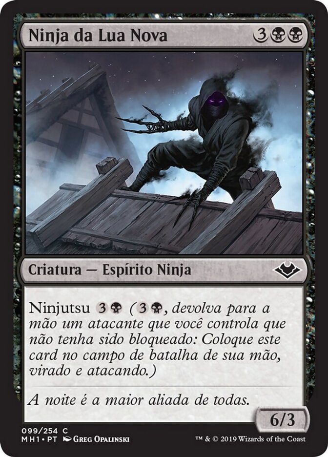 Ninja da Lua Nova