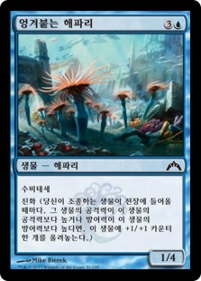 엉겨붙는 말미잘