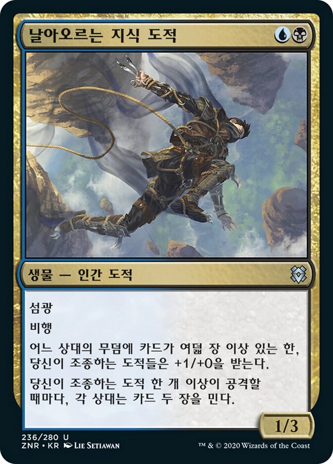 날아오르는 지식 도적
