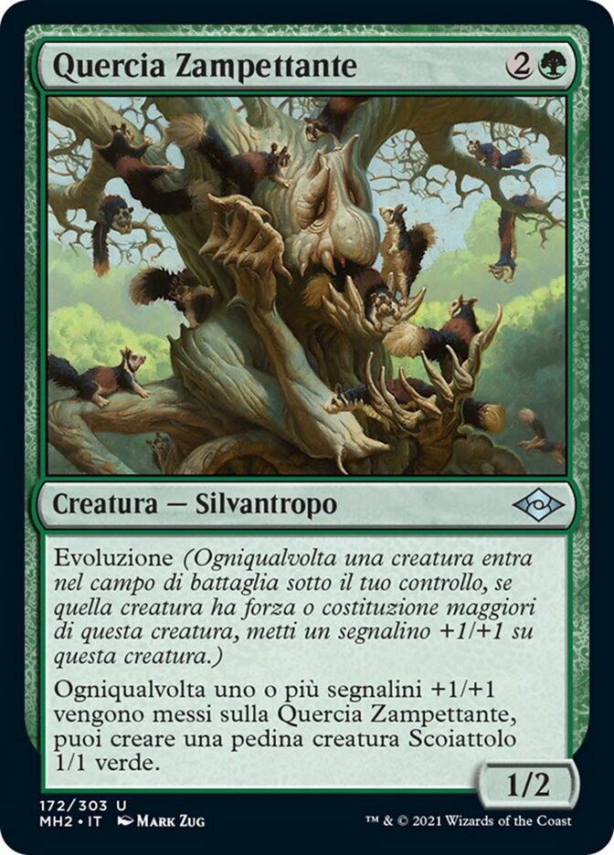 Quercia Zampettante