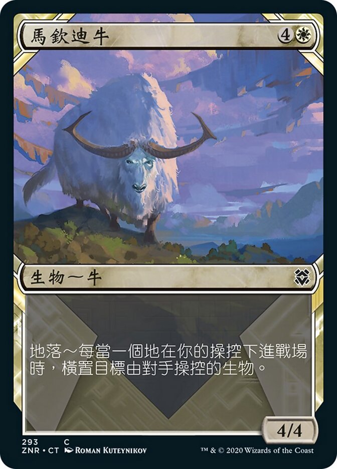 馬欽迪牛
