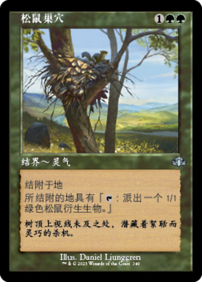 松鼠巢穴