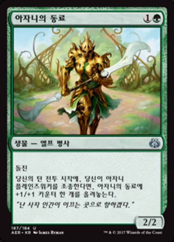 아자니의 동료