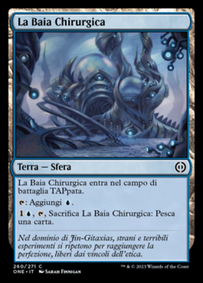 La Baia Chirurgica