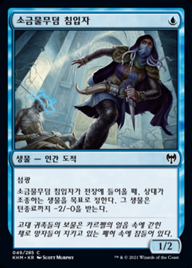 소금물무덤 침입자