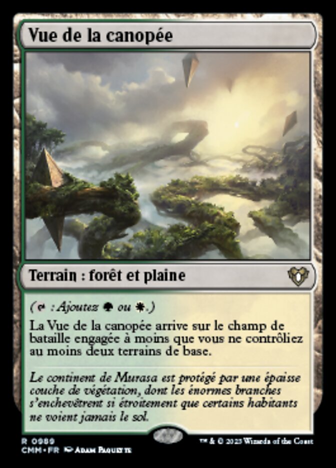 Vue de la canopée