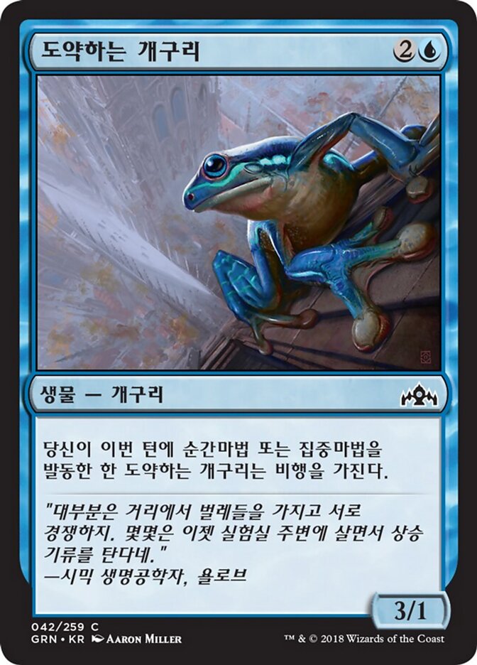 도약하는 개구리