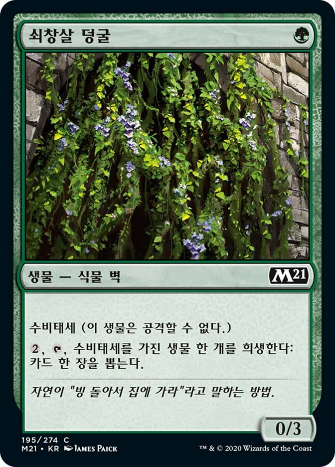 쇠창살 덩굴