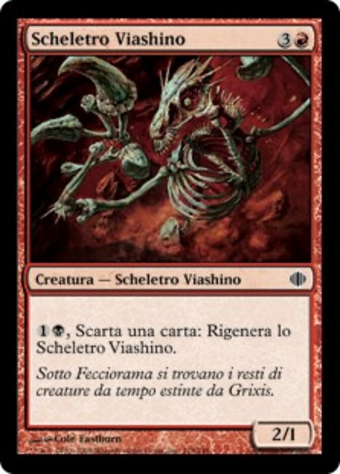 Scheletro Viashino