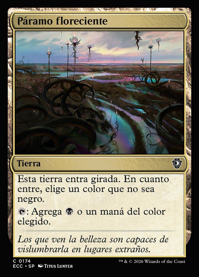 Páramo floreciente